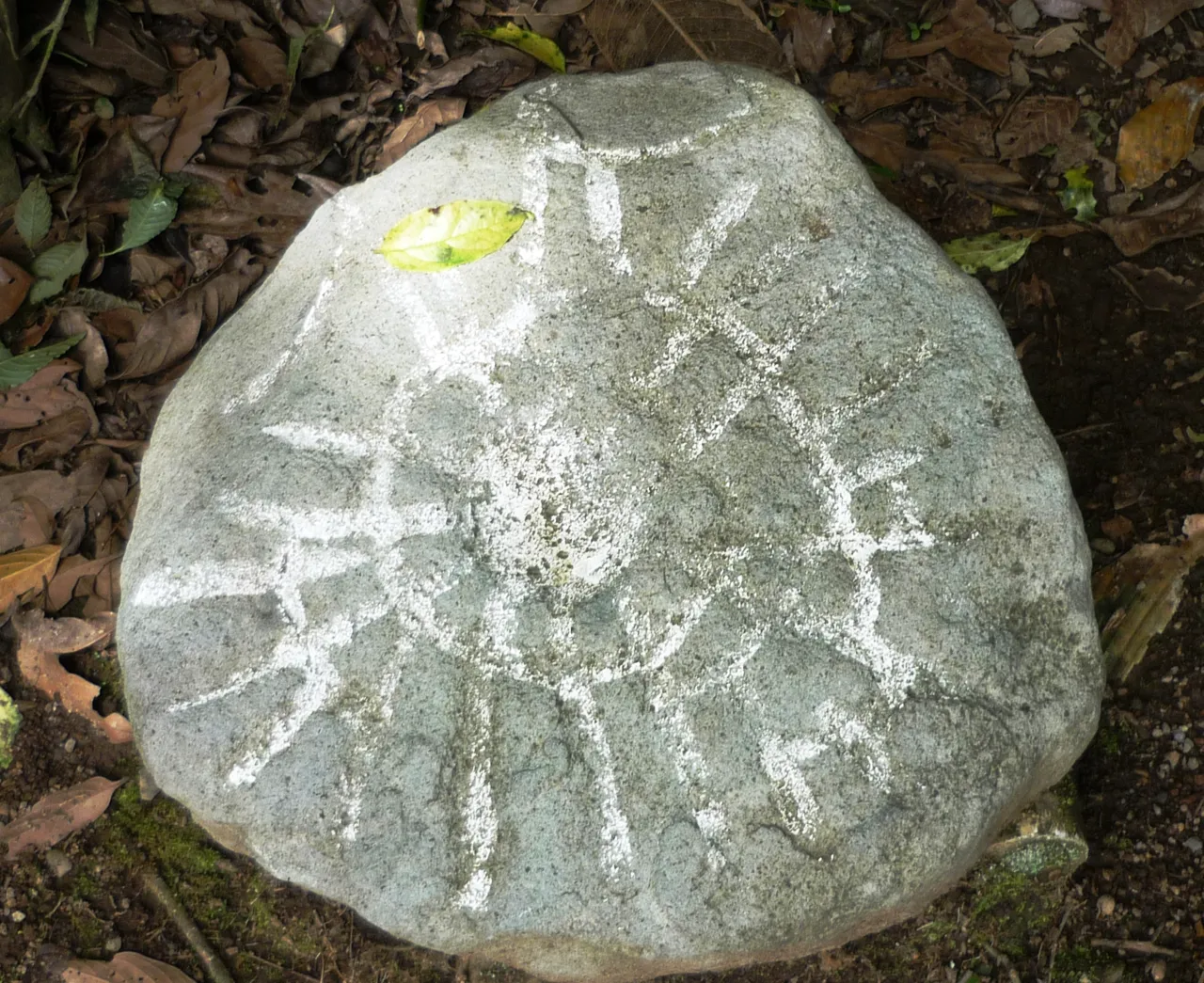 Guayabo National Monument 4